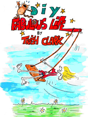 cover image of DIY Fabulous Life